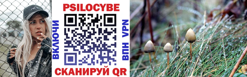цена   Белёв  блэк спрут ONION  Псилоцибиновые грибы Psilocybine cubensis 